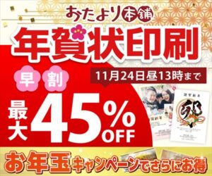 年賀はがきの種類23 インクジェットや写真用からディズニーまで わびさび