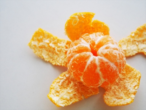 愛媛で収穫・栽培される柑橘類(みかん)の品種や種類一覧