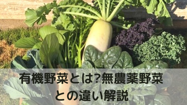 無農薬野菜と有機野菜