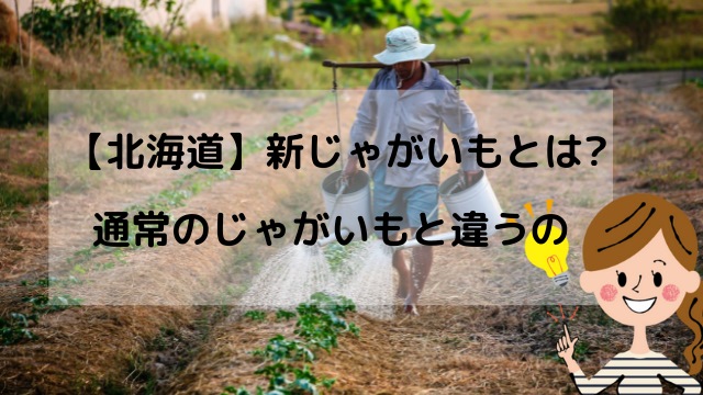 【農家直送】北海道の新じゃがいもは普通のじゃがいもと違うの?