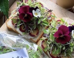 食用花 エディブルフラワーどこで買える 種類や販売店などご紹介 わびさび