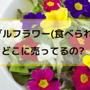 食用花