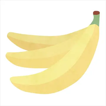果物と野菜の違い