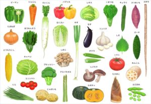 野菜の定義