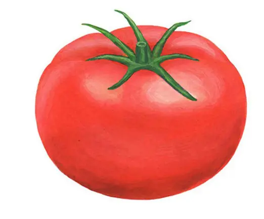 果物と野菜の違い