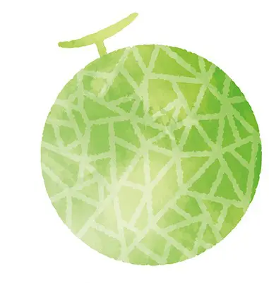 果物と野菜の違い
