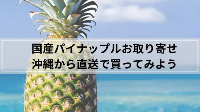 パイナップル通販のおすすめ