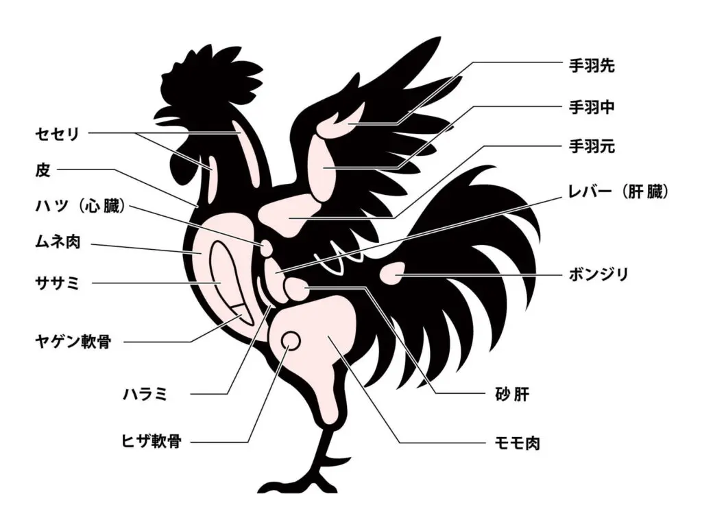 鶏 胸 肉 と ささみ の 違い