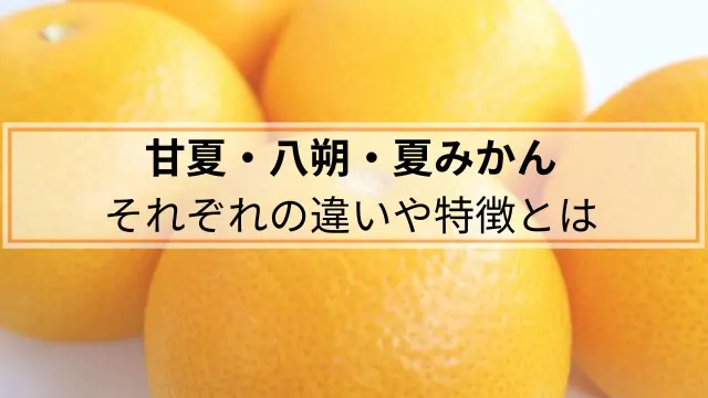甘夏・八朔・夏みかんはどう違うの?見分け方や産地を比較! ｜ わびさび
