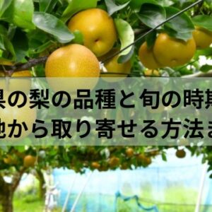 千葉県の梨のお取り寄せグルメ