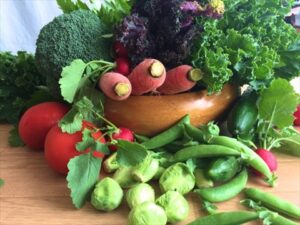 産地直送　旬の野菜セット