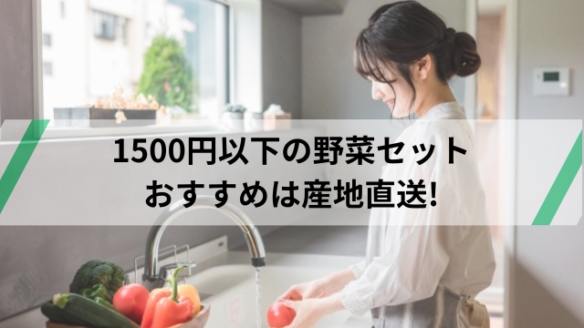 1500円以下の野菜セット