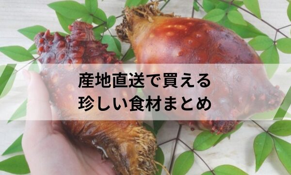 産地直送の珍しい食材