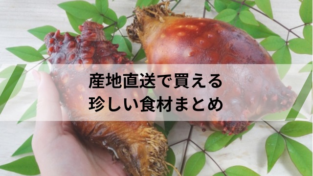 産地直送の珍しい食材